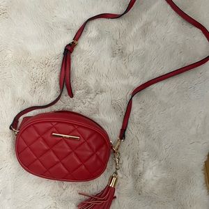 2 in 1 Aldo Crossbody and Belt Bag!